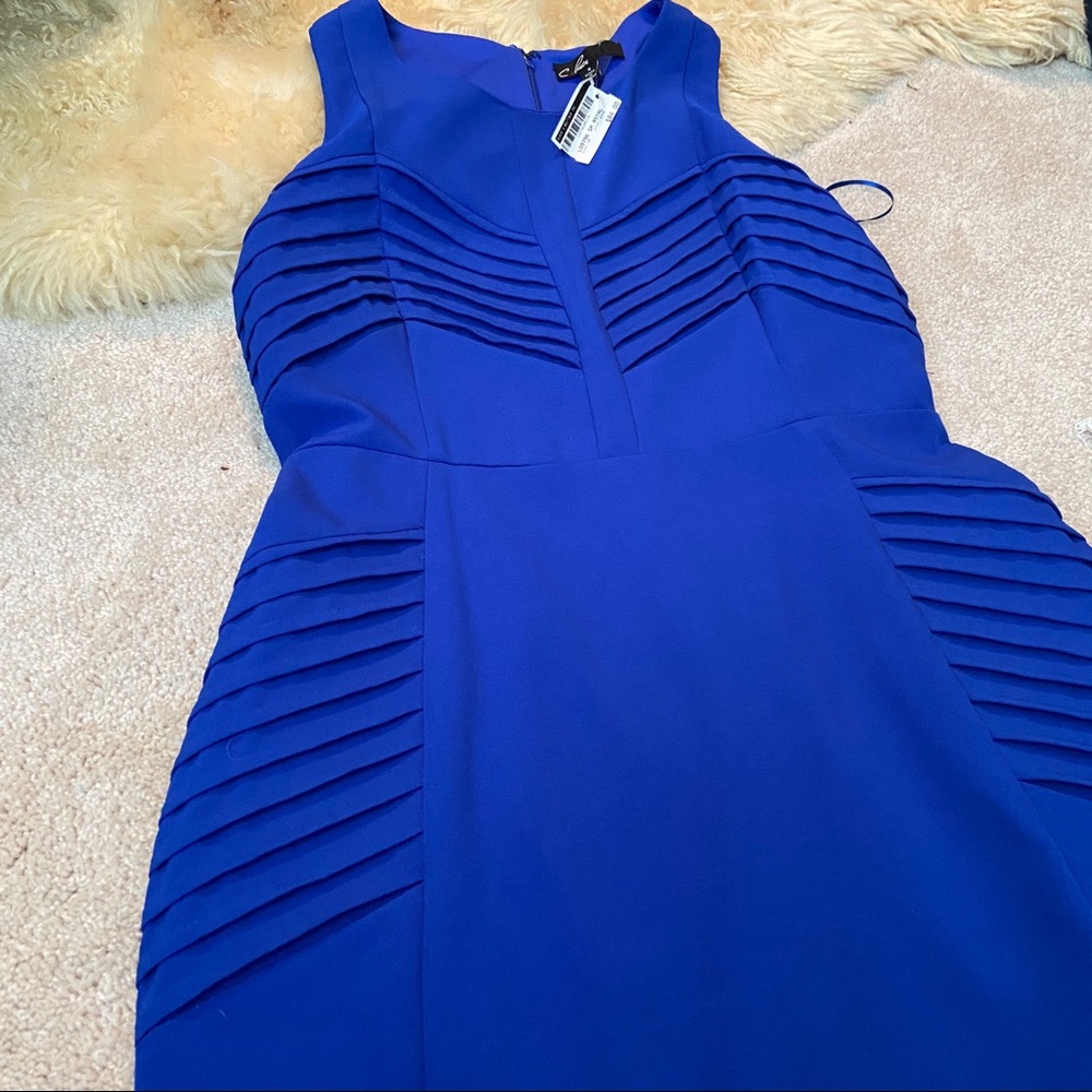 C. Price Royal Blue Dress NWT - Picture 3 of 8